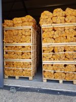 Kiln dried firewood in 20 l bags - Image 2
